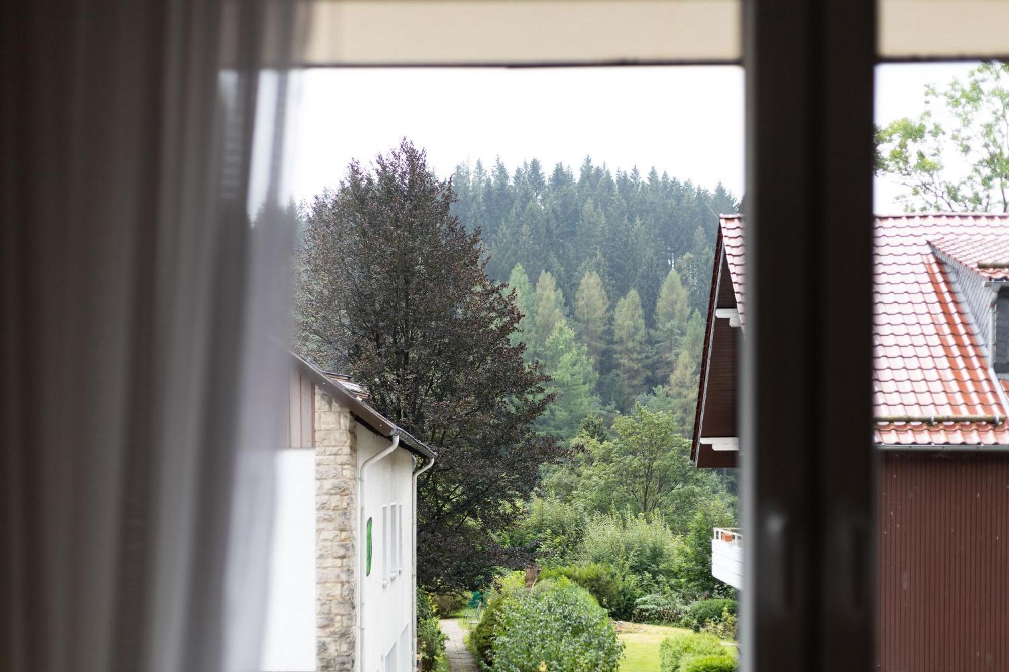 Apartmenthaus Am Waldrand- Kueche - Fruehstueck - Balkon Wildemann Buitenkant foto